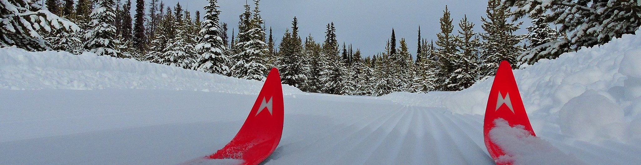 banner image - skis on groomed trail